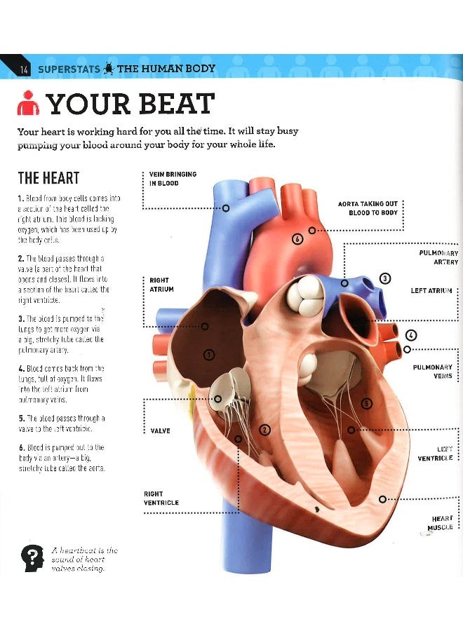 Superstats: Amazing Body Hardcover English by Moira Butterfield - 04 Aug 2015 - Image 4