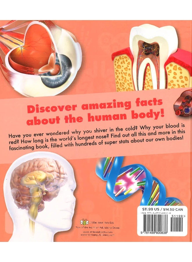 Superstats: Amazing Body Hardcover English by Moira Butterfield - 04 Aug 2015 - Image 2