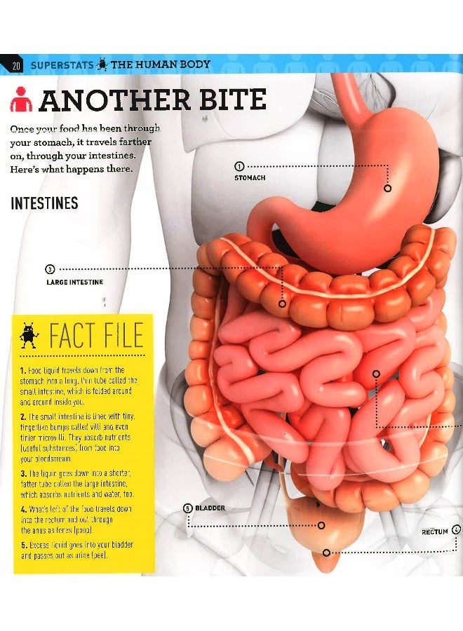 Superstats: Amazing Body Hardcover English by Moira Butterfield - 04 Aug 2015 - Image 5