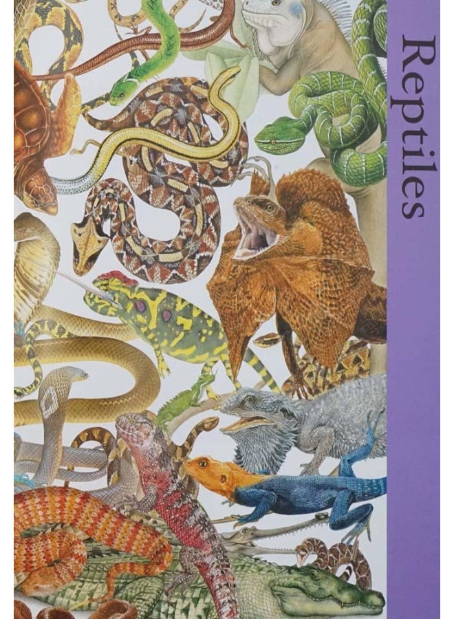 Childs Ency Of Animals Hardcover English by Red Lemon Press - Image 3