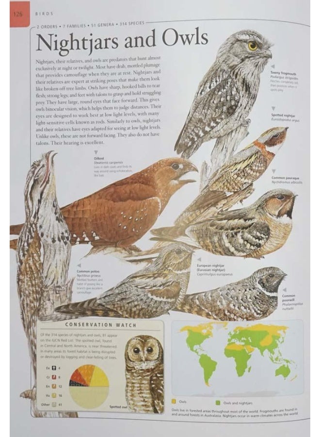Childs Ency Of Animals Hardcover English by Red Lemon Press - Image 5