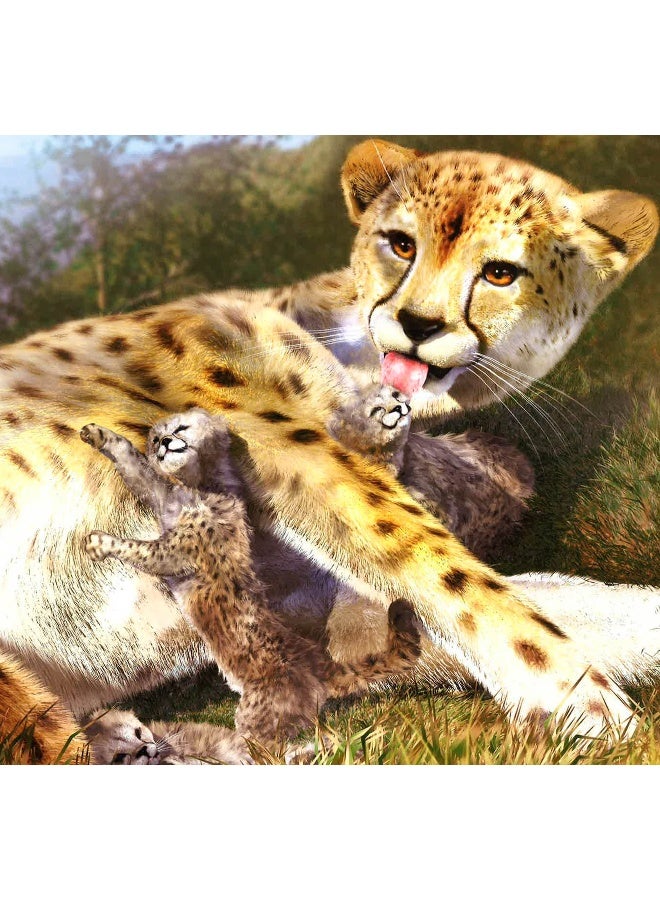 My Life In The Wild-Cheetah Hardcover English - Image 3