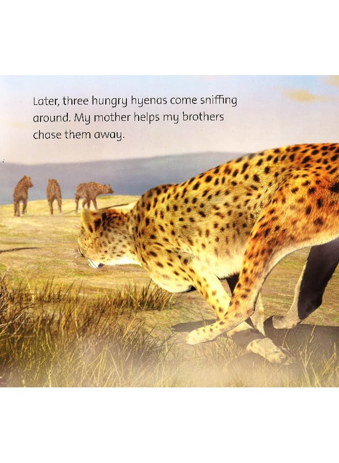 My Life In The Wild-Cheetah Hardcover English - Image 5