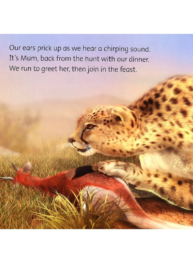 My Life In The Wild-Cheetah Hardcover English - Image 4