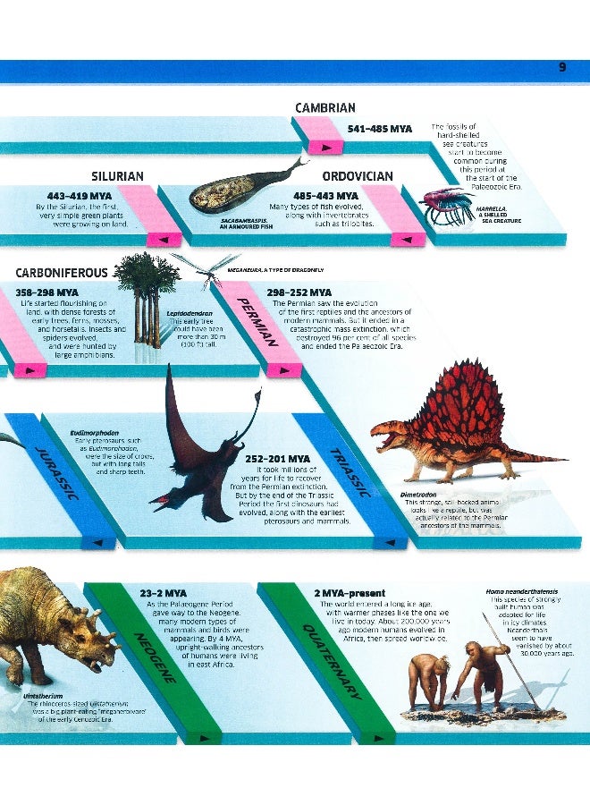 Knowledge Encyclopedia Dinosaur! Hardcover English - Image 5