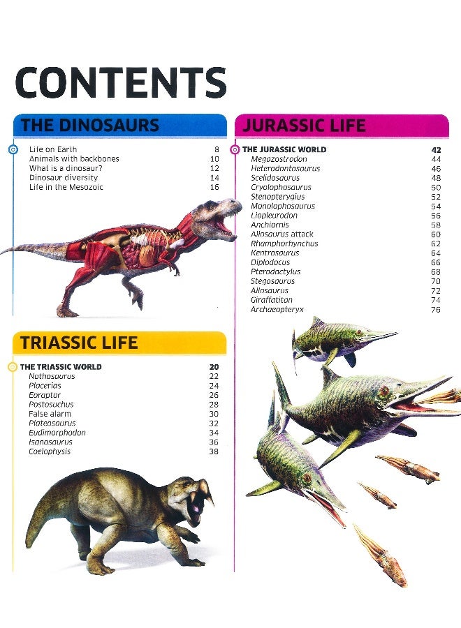 Knowledge Encyclopedia Dinosaur! Hardcover English - Image 3