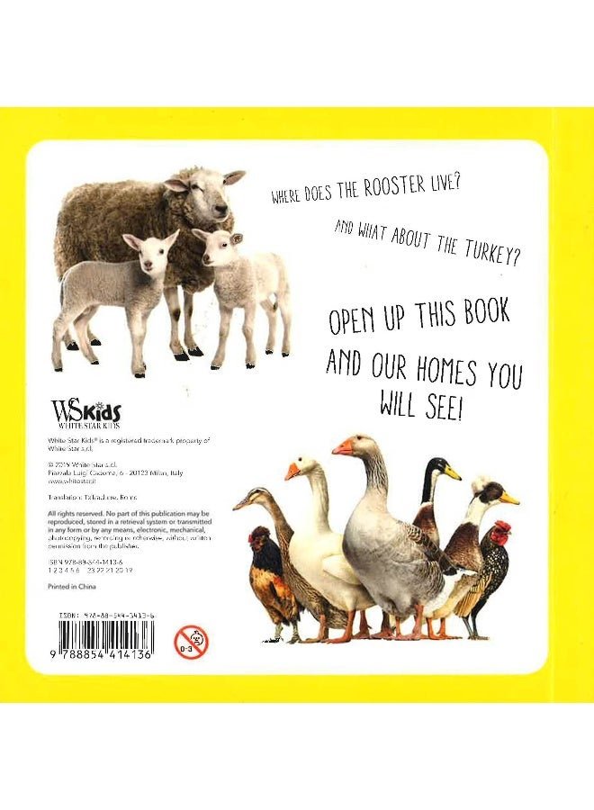 Discover The World Of Bugs Board Book English - Image 2