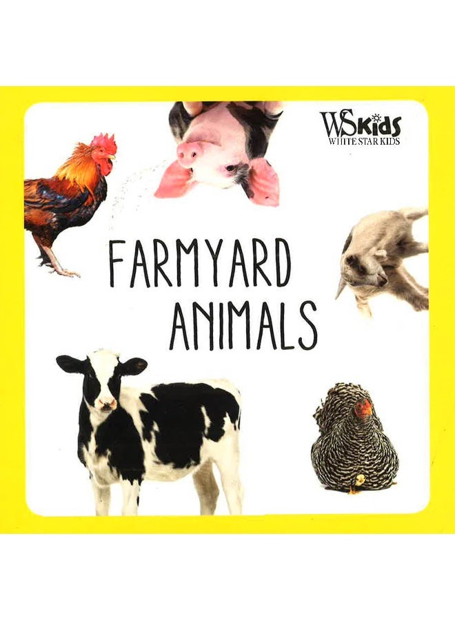 Discover The World Of Bugs Board Book English - Image 1