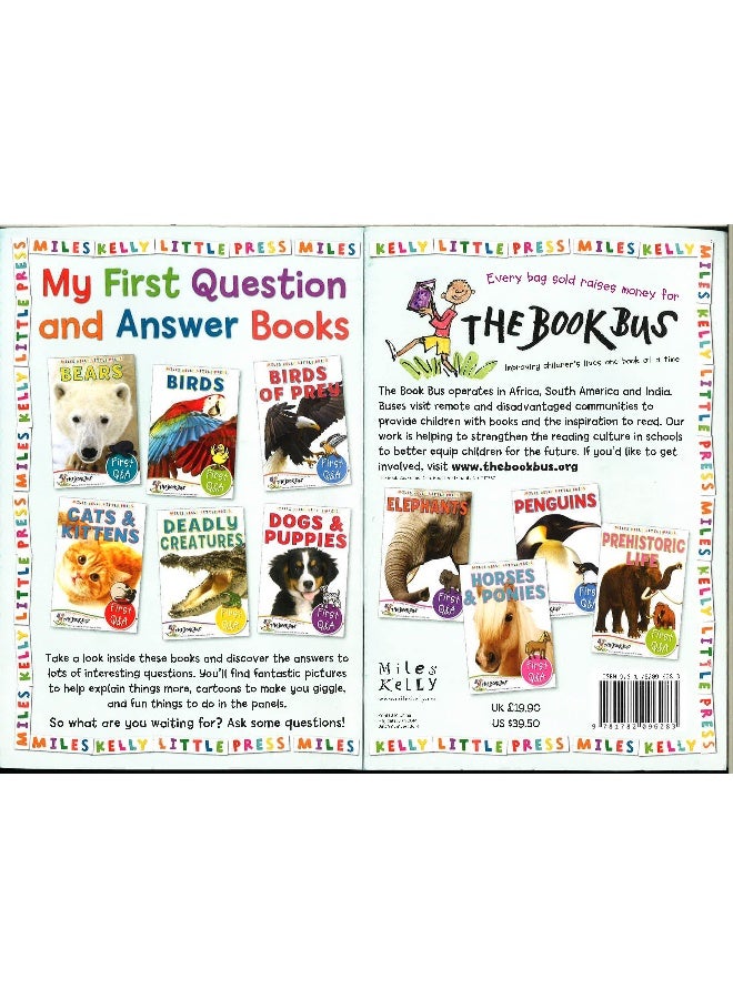 First QAndA Paperback English by Belinda Gallagher - 01 Feb 2014 - Image 4