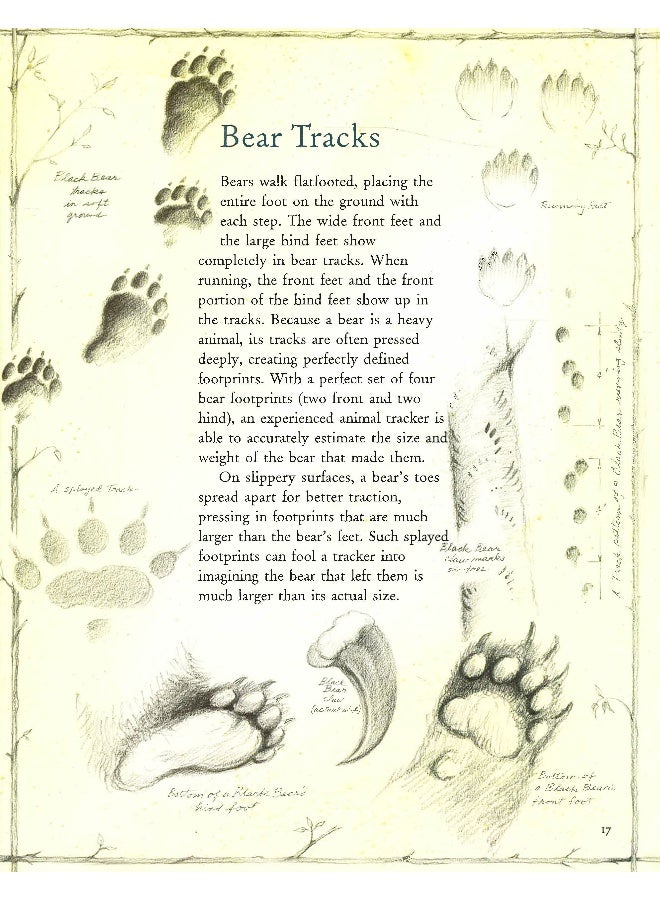 Wild World Hardcover English by Jim Arnosky - 02 October 2014 - Image 5