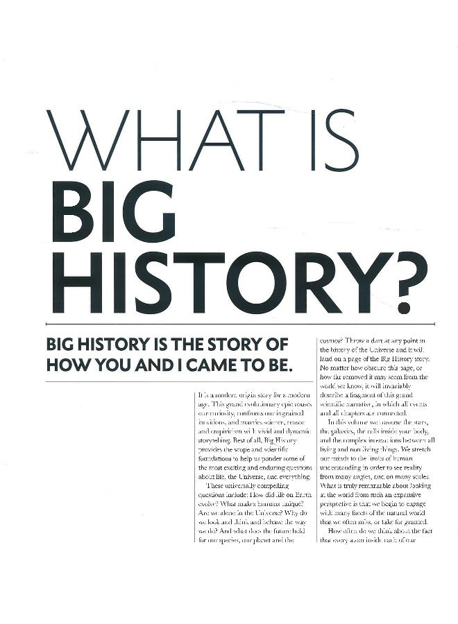 Big History Hardcover English by Cynthia Stokes Brown - Image 4