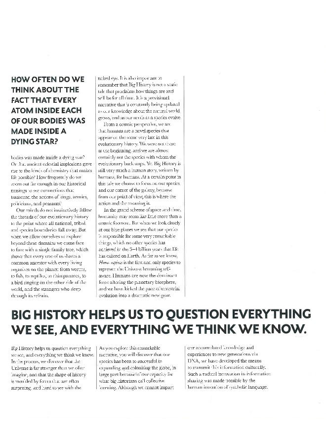 Big History Hardcover English by Cynthia Stokes Brown - Image 5