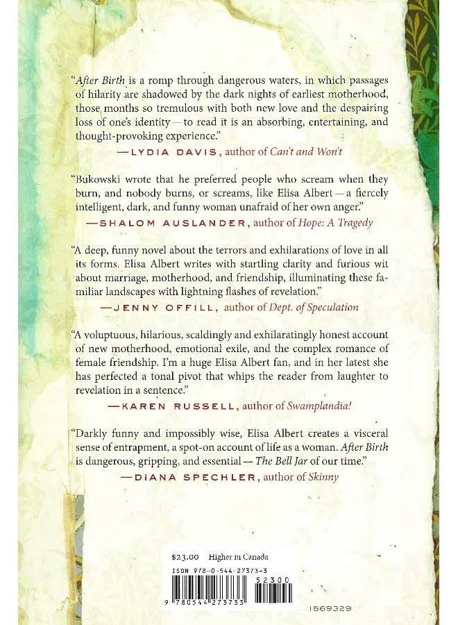 After Birth Hardcover English by Elisa Albert - Image 2