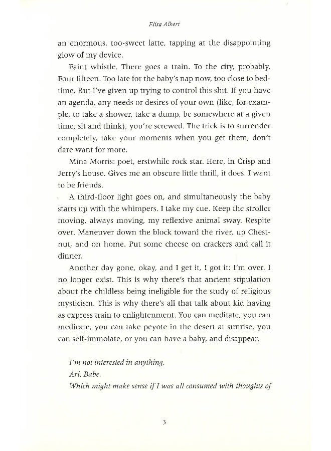 After Birth Hardcover English by Elisa Albert - Image 5