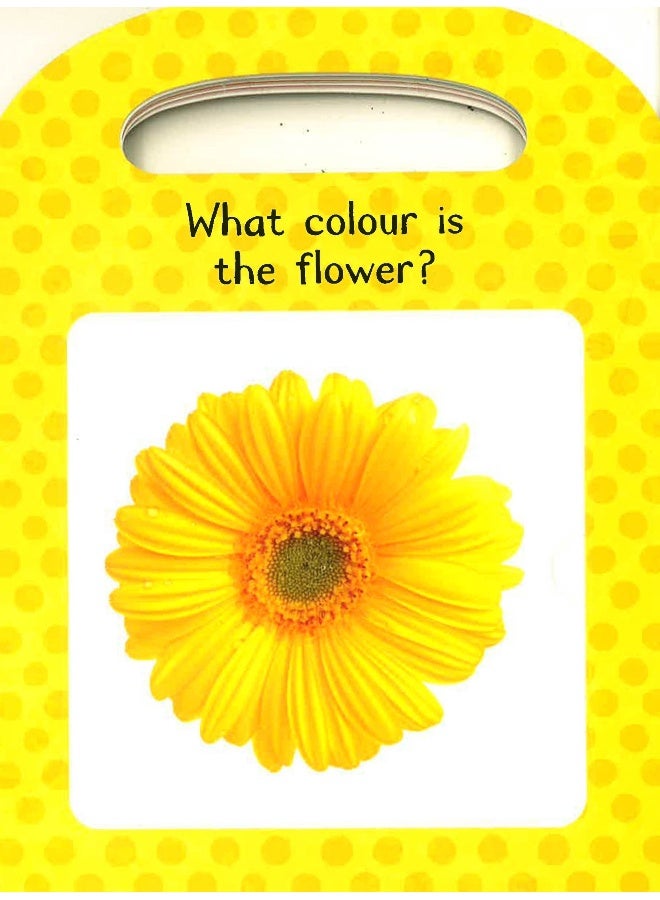 My First Lift And Learn First Colours Board Book English by Little Tiger Press - Image 4