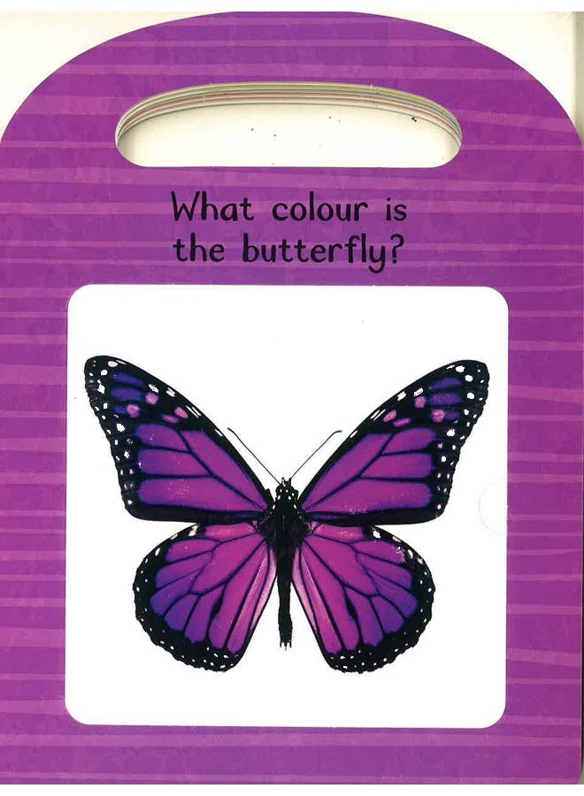 My First Lift And Learn First Colours Board Book English by Little Tiger Press - Image 3