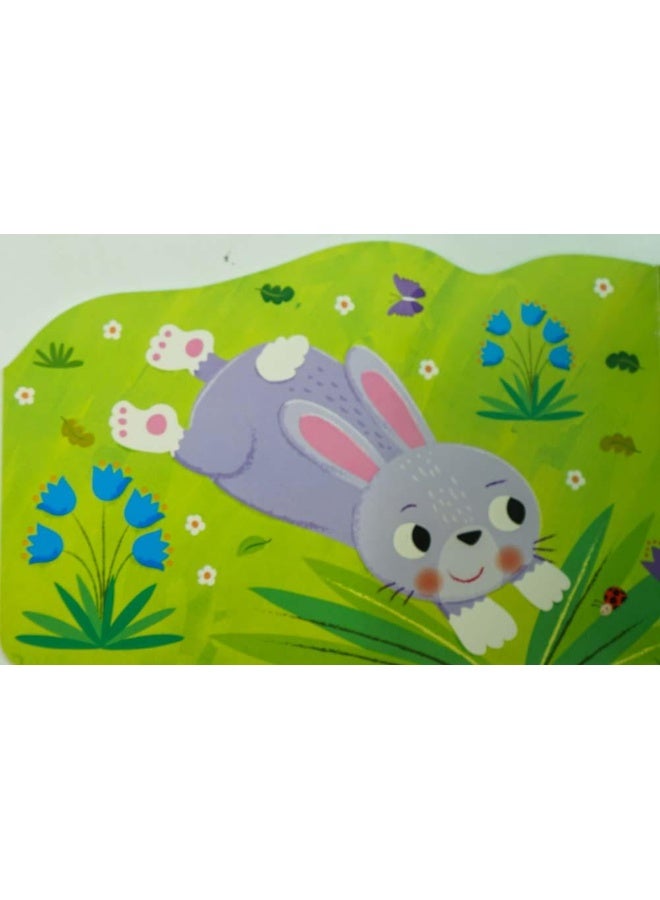 Bobby The Bunny Board Book English by North Parade - Image 3