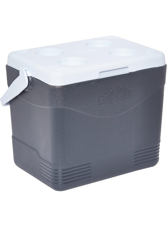 Cosmoplast Keep Cold Plastic Picnic Cooler Icebox 24 Liters Cool Grey 24.0Liters  - Image 1