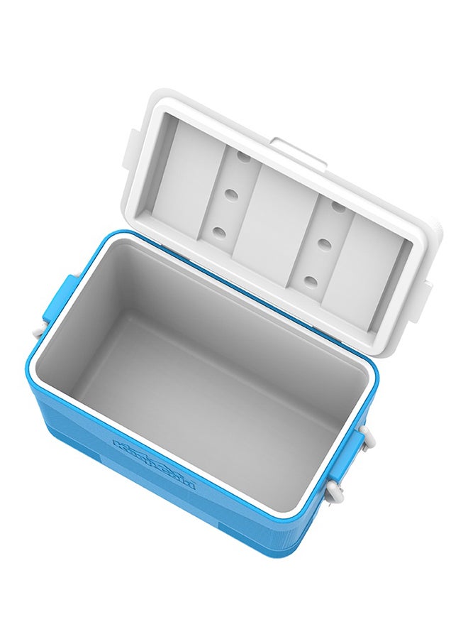 Cosmoplast - 46L Keep Cold Picnic Icebox Assorted - Image 1