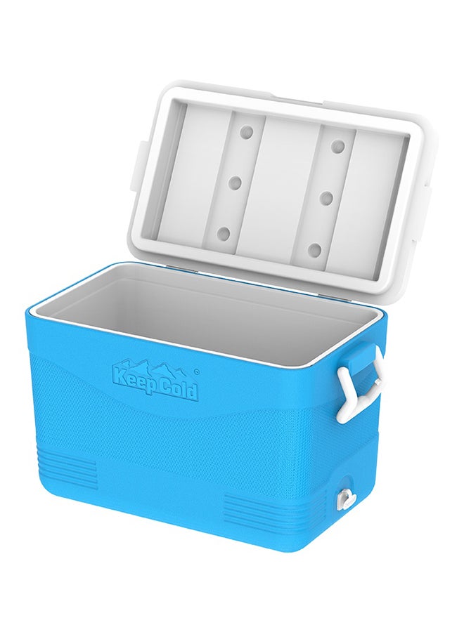 Cosmoplast - 46L Keep Cold Picnic Icebox Assorted - Image 1