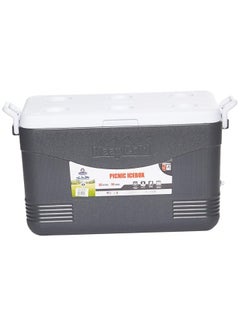 Cosmoplast 46L Keep Cold Picnic Icebox Assorted  - Image 1