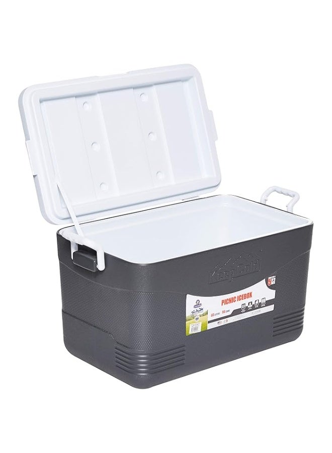Cosmoplast - 46L Keep Cold Picnic Icebox Assorted - Image 1