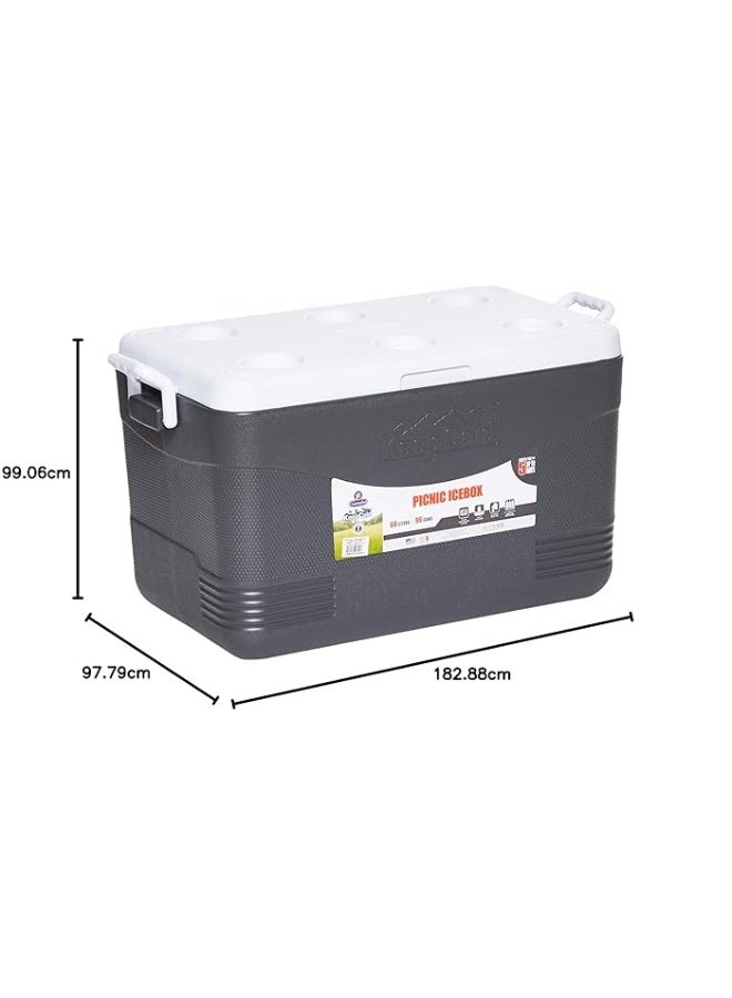 Cosmoplast - 46L Keep Cold Picnic Icebox Assorted - Image 1