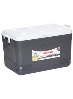 Cosmoplast 46L Keep Cold Picnic Icebox Assorted  - Image 3
