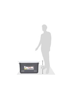 Cosmoplast 46L Keep Cold Picnic Icebox Assorted  - Image 4