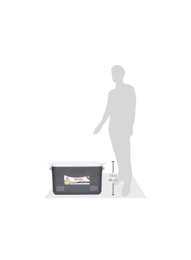 Cosmoplast - 46L Keep Cold Picnic Icebox Assorted - Image 1