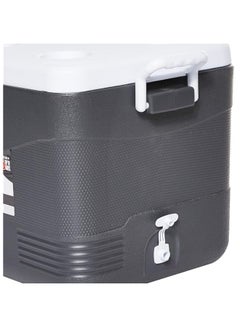Cosmoplast 46L Keep Cold Picnic Icebox Assorted  - Image 5