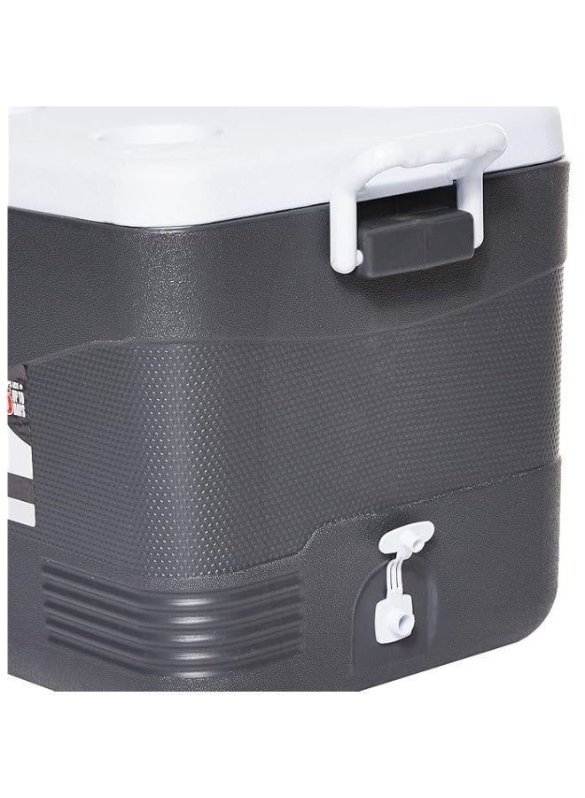Cosmoplast - 46L Keep Cold Picnic Icebox Assorted - Image 1
