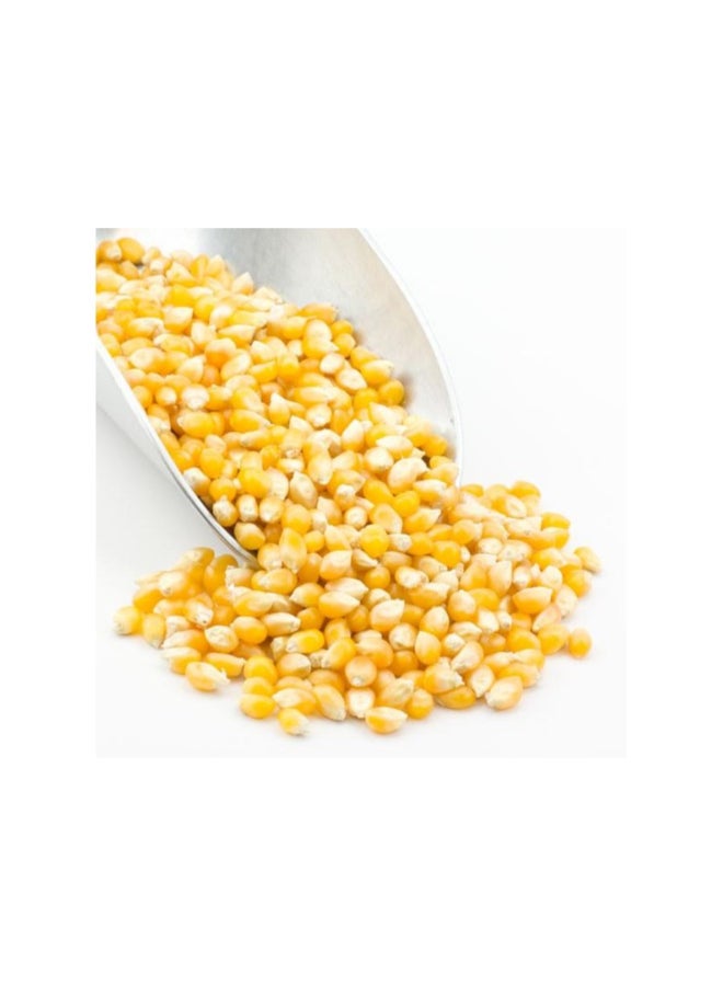 American Harvest - Yellow Popcorn Kernels In Jar corn 1kg - Image 1