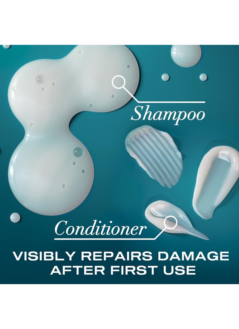 Ogx Shampoo And Conditioner Renewing Plus Argan Oil Of Morocco Set 385ml - Image 5