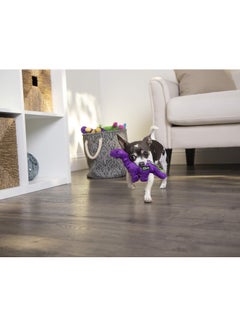 goDog Durable Plush Squeaker Dog Toy Multicolour  - Image 4