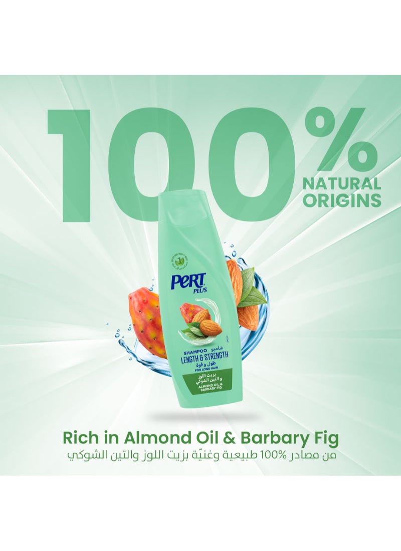 PERT PLUS - Length & Strength Shampoo with Almond Oil and Barbary Fig Multicolour 1000ml - Image 1