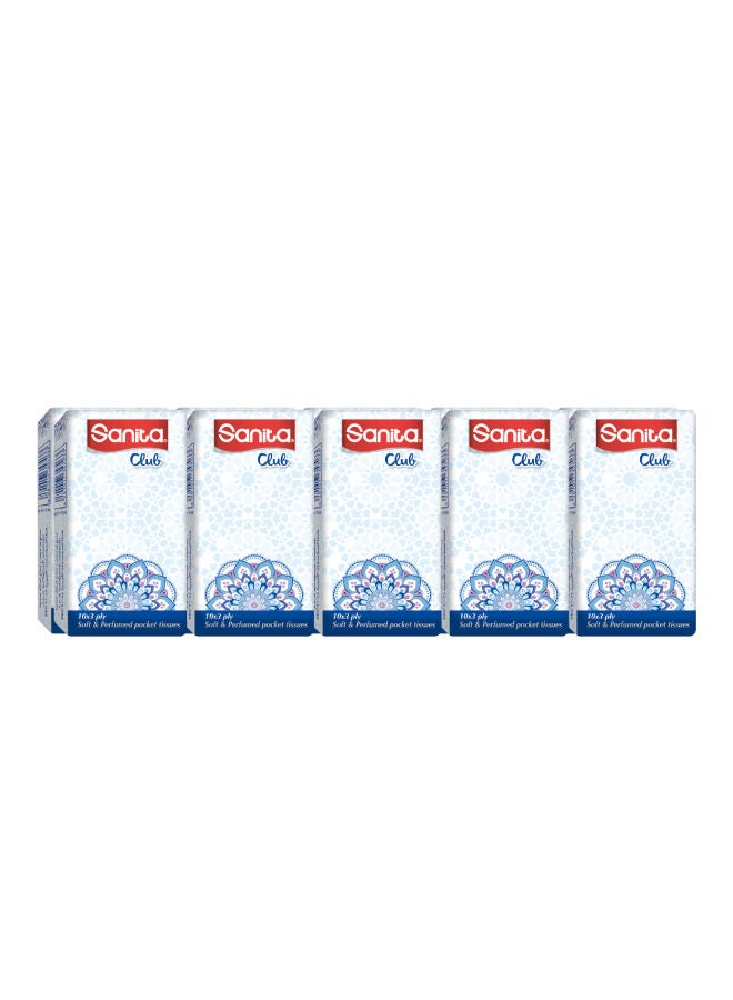 Sanita Pocket tissue Gipsy - 10 Packets  - Image 2