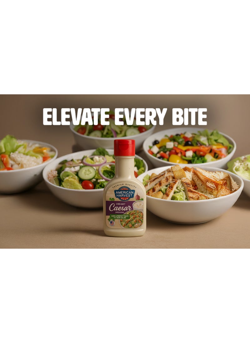 American Harvest Creamy Caesar Salad Dressing Sauce 237ml - Image 3