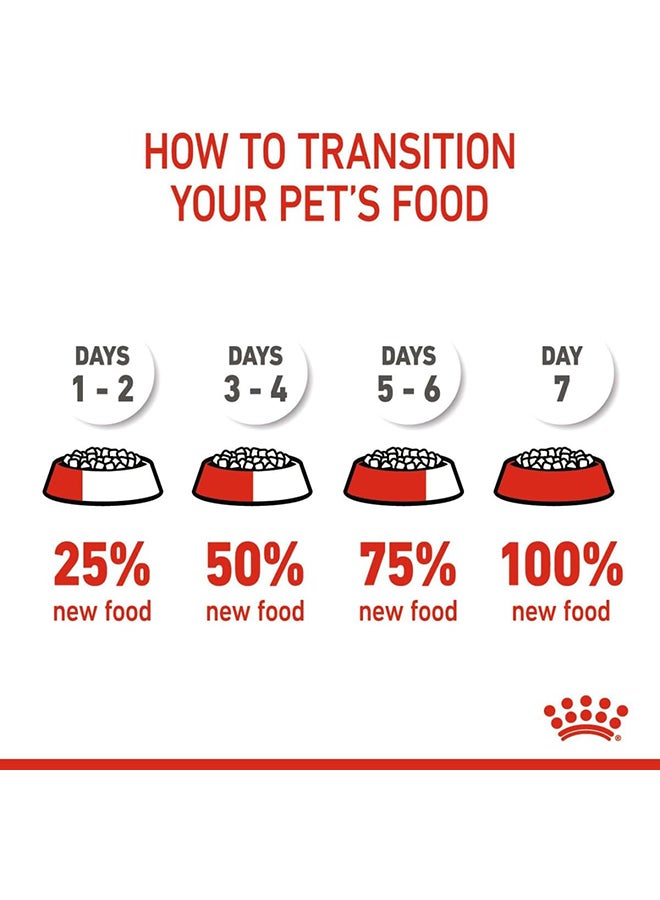 رويال كانين طعام جاف للقطط مناسب للأم وصغارها 4كيلوجرام - Image 4