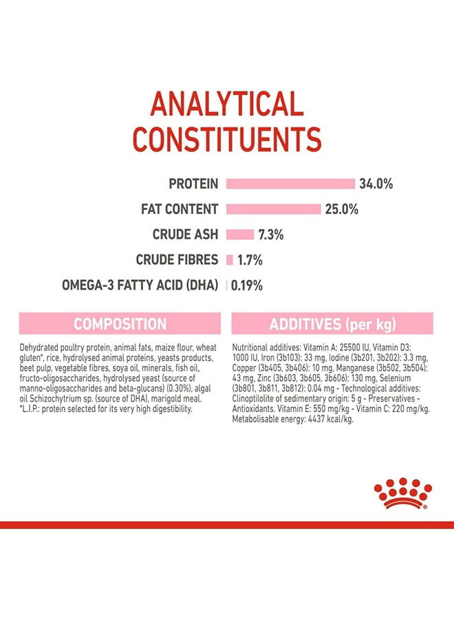 رويال كانين طعام جاف للقطط مناسب للأم وصغارها 4كيلوجرام - Image 3