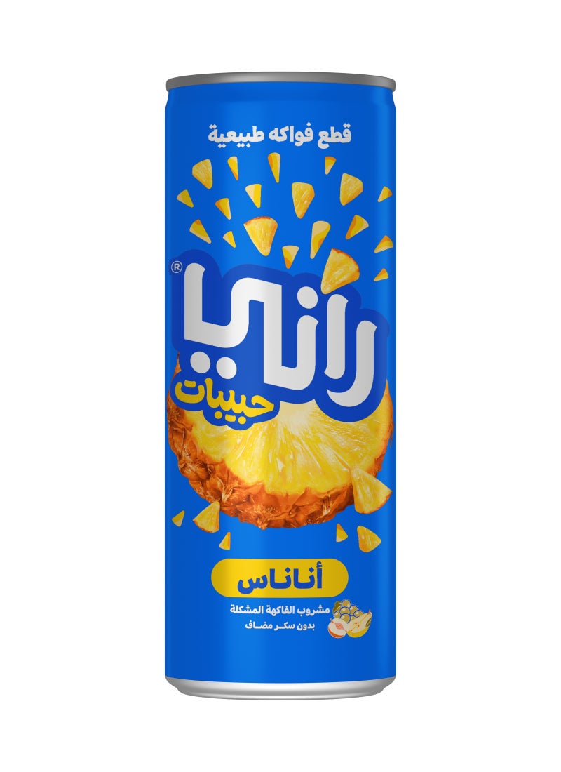 راني عصير بحبيبات الأناناس، 100% عصير فاكهة من دون سكر مضاف أناناس 240ملليلتر - Image 2