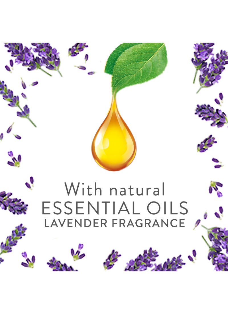 Air Wick Scented Oil Fragrance Diffuser Kit, Cherry Blossom Fragrance Multicolour 19ml - Image 2