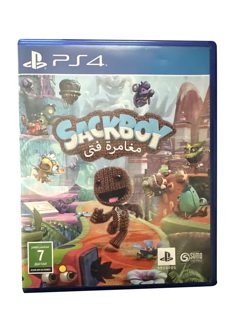 Sony Sackboy (Intl Version) - PS4/PS5 - Image 1