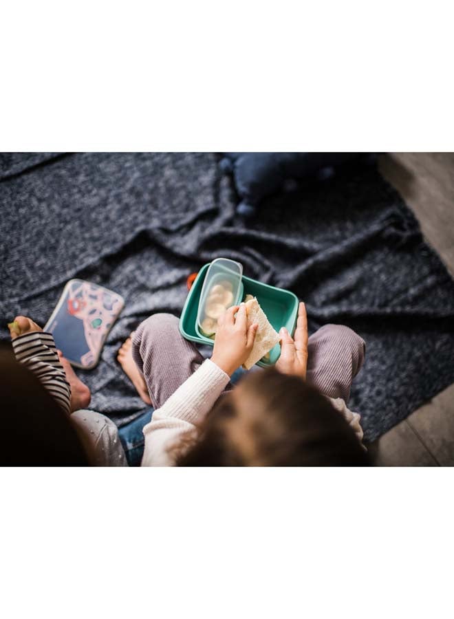 تومي تيبي صندوق غداء من الخيزران للأطفال - Image 5