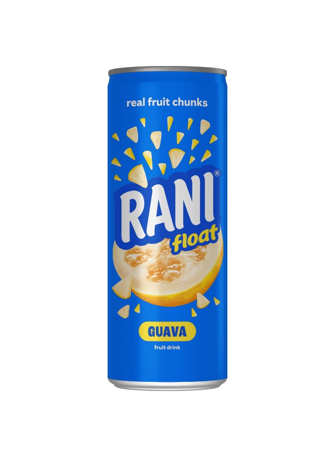 Rani Float Guava Juice 235ml Best Price Egypt Cairo, Giza