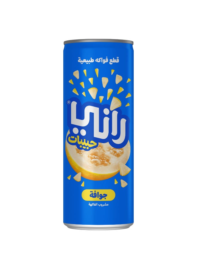 راني عصير جوافة عائم 235 مل - Image 2