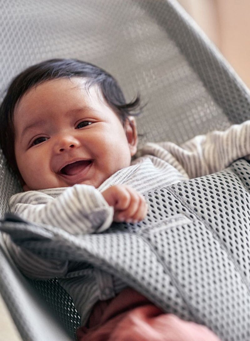 BABYBJORN - Baby Bouncer Bliss Mesh - Grey - Image 1