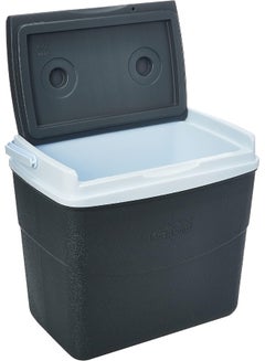 Cosmoplast 20L KeepCold Picnic Icebox (Grey) Blue 20Liters  - Image 4