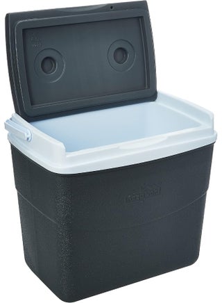 30L KeepCold Picnic Icebox (Grey) 30Liters - pnsku/N47014921A/45/_/1728978460/72f3a755-35f9-4632-8810-7680f9d8816f
