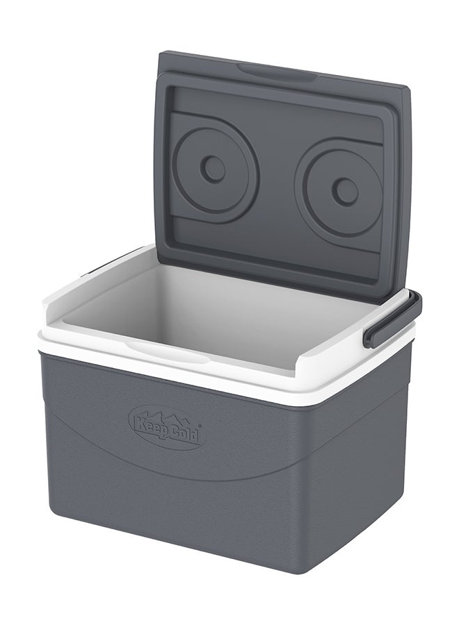 Cosmoplast - 5L KeepCold Picnic Icebox Grey 5Liters - Image 1